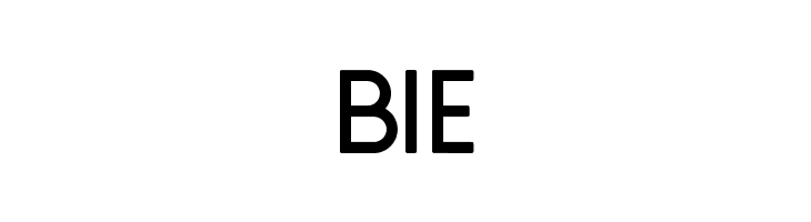 NFNGroteskCapsBold  Free Fonts Download