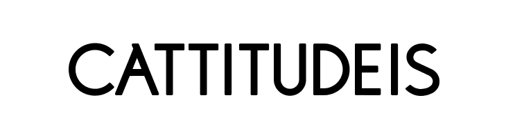 NFNGroteskCapsBold  Free Fonts Download