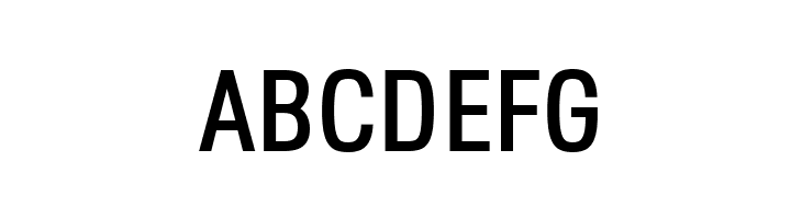 Octagen Roman Regular  Free Fonts Download