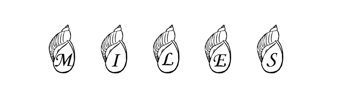 Jenna's Shells  Free Fonts Download