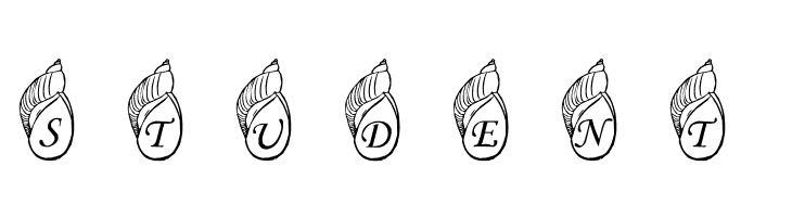 Jenna's Shells  Free Fonts Download