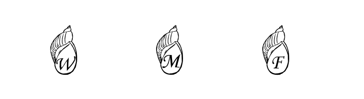 Jenna's Shells  Free Fonts Download