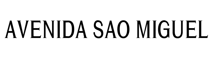 Cheetah  Free Fonts Download