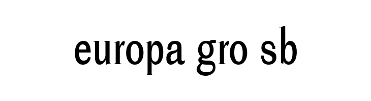 Cheetah  Free Fonts Download