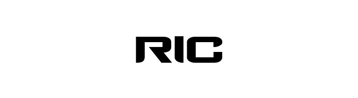 RIC Counter-Strike Regular Font