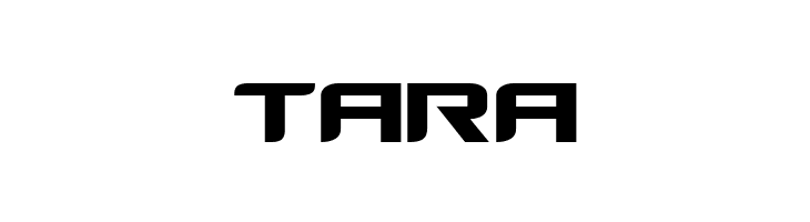 TARA Counter-Strike Regular Font
