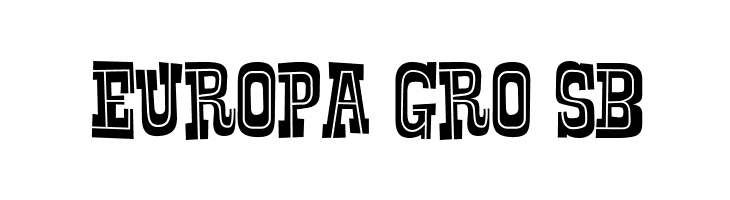 Rustler Fancy  Free Fonts Download