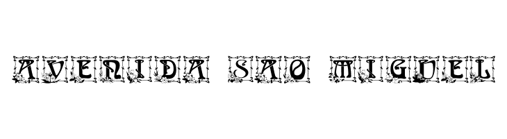 Capitular Floral  Free Fonts Download