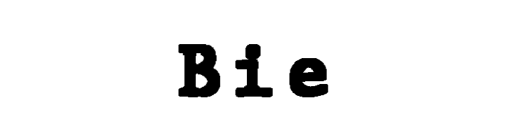JMHTypewritermonoBlack-Regular  Free Fonts Download