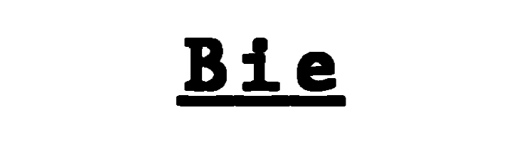 JMHTypewritermonoBlackUnder-Reg  Free Fonts Download