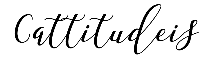 Shany Regular  Free Fonts Download