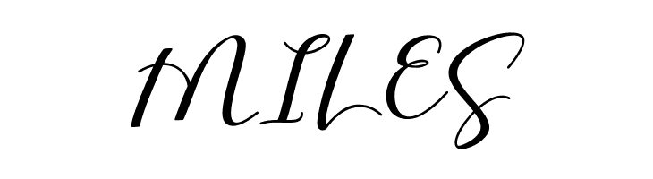 Shany Regular  Free Fonts Download