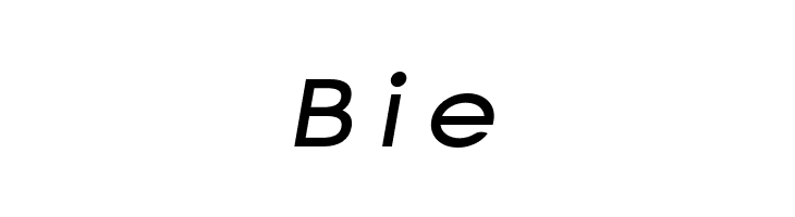 Charger Monospace Extended Italic  Free Fonts Download