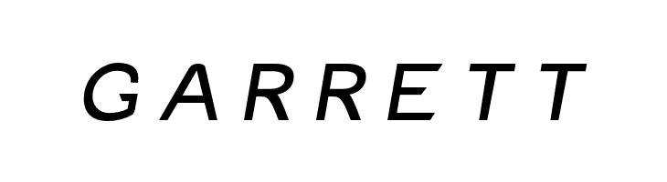 Charger Monospace Extended Italic  Free Fonts Download