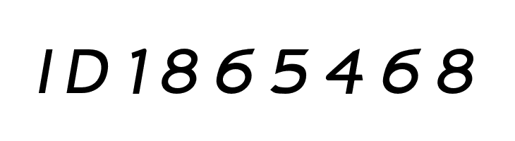 Charger Monospace Extended Italic  Free Fonts Download