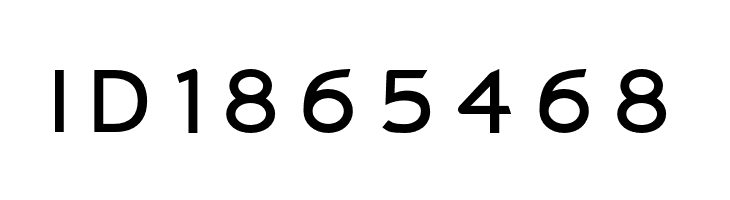 Charger Monospace Extended  Free Fonts Download