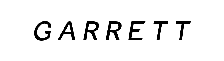 Charger Monospace Italic  Free Fonts Download