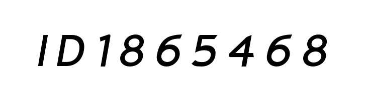 Charger Monospace Italic  Free Fonts Download