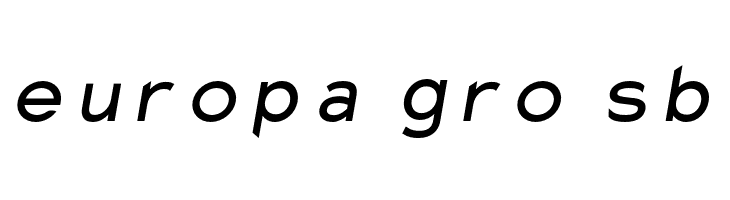 Charger Monospace Italic  Free Fonts Download