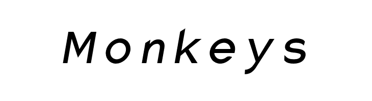 Charger Monospace Condensed Italic  Free Fonts Download