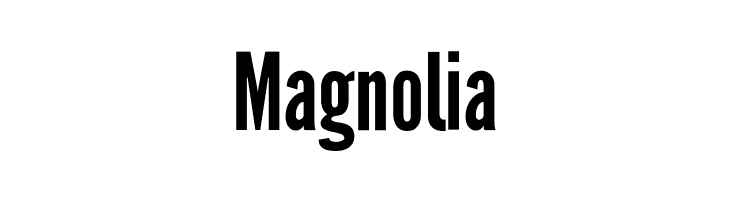 Magnolia Warsaw Gothic Font