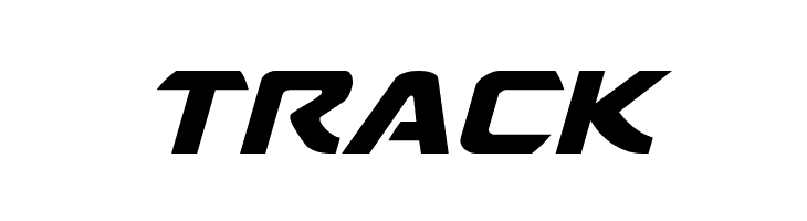 TRACK USAngel Expanded Italic Font