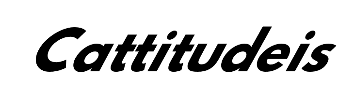 Hussar Bold Oblique Six  Free Fonts Download