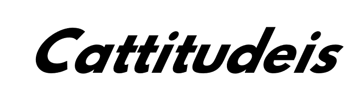 Hussar Bold Oblique Five  Free Fonts Download