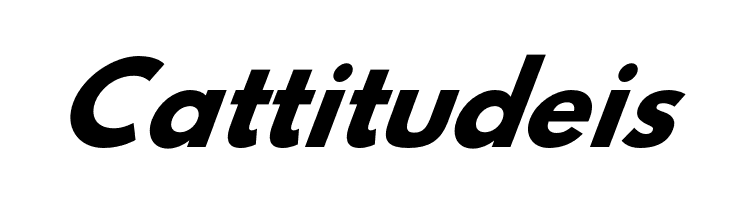 Hussar Bold Oblique Four  Free Fonts Download