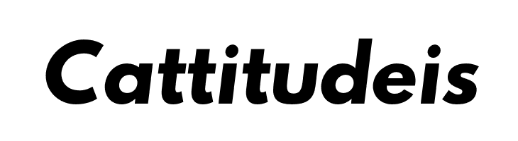 Hussar Bold Oblique One  Free Fonts Download