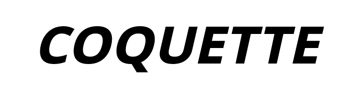 Passageway Bold Italic  Free Fonts Download