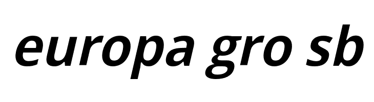 Passageway Light Italic  Free Fonts Download