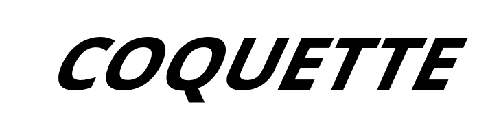 Passageway Bold SuperItalic  Free Fonts Download