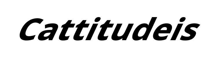 Passageway Bold SuperItalic  Free Fonts Download