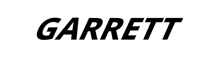 Passageway Bold SuperItalic  Free Fonts Download