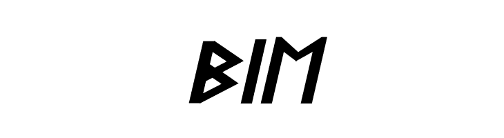 Stormning Bold Oblique  Free Fonts Download