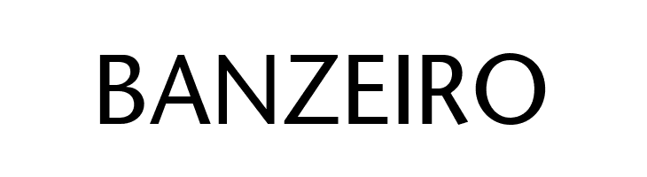 StoneSans  Free Fonts Download
