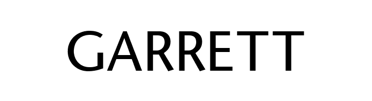 StoneSans  Free Fonts Download
