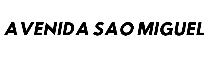 Hussar Wysoki Oblique  Free Fonts Download