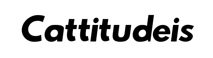 Hussar Bold Oblique  Free Fonts Download