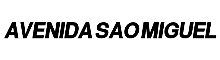 Warownia Black Narrow Oblique  Free Fonts Download