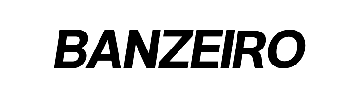 Warownia Bold Oblique  Free Fonts Download