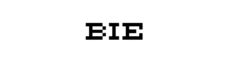 DS FlashSerif  Free Fonts Download
