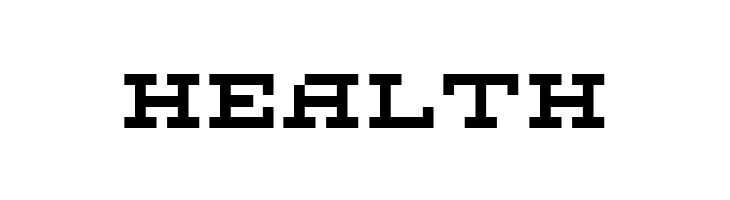 DS FlashSerif  Free Fonts Download