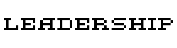 DS FlashSerif  Free Fonts Download