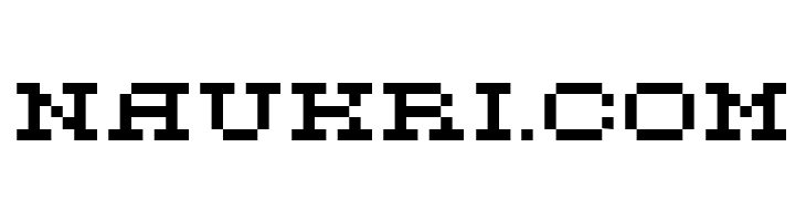 DS FlashSerif  Free Fonts Download