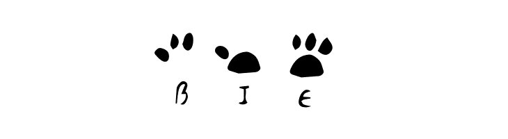 katype scribe  Free Fonts Download