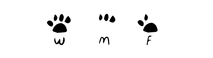 katype scribe  Free Fonts Download