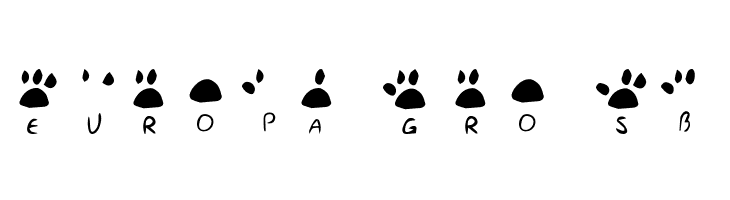 katype scribe  Free Fonts Download