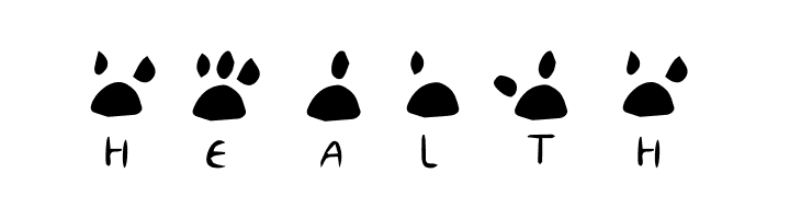 katype scribe  Free Fonts Download